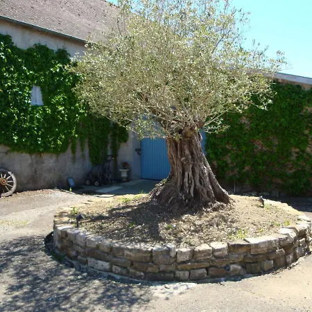 L'enclos Bearnais Πανσιόν Benejacq